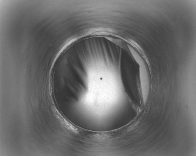 X0000078831384200612041802