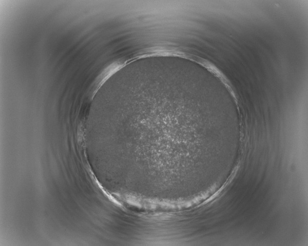 X0000078831385200612041802