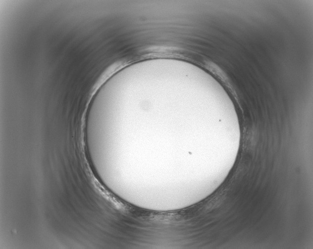 X0000078831386200612041802