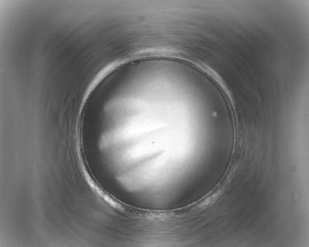 X0000078831389200612041802