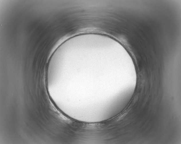 X0000078831390200612041802