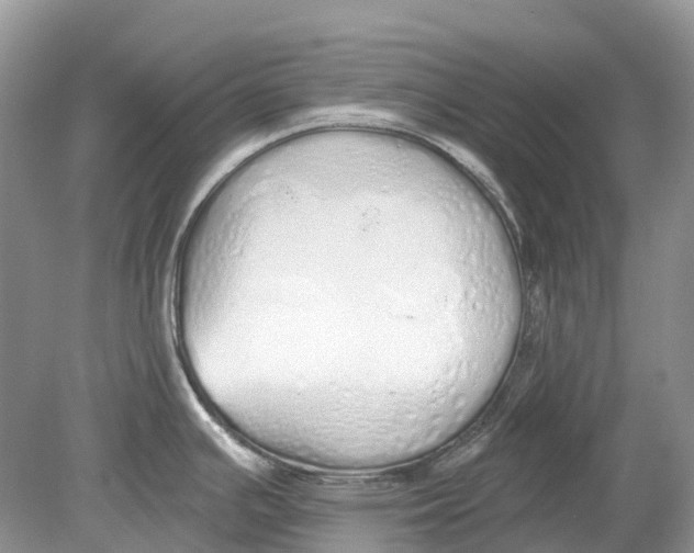 X0000078831391200612041802