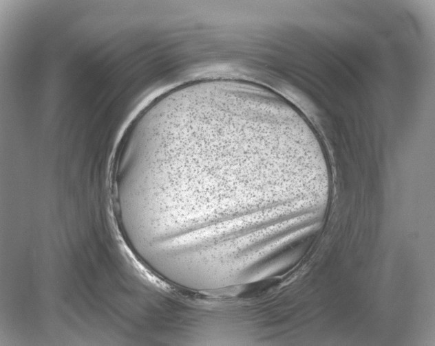 X0000078831392200612041802