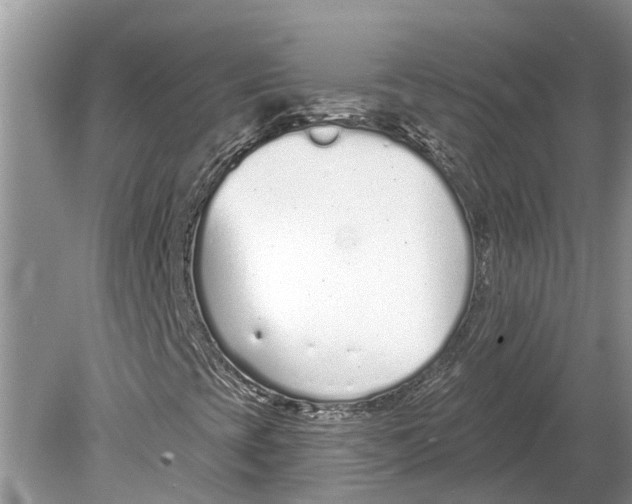 X0000078831393200612041801