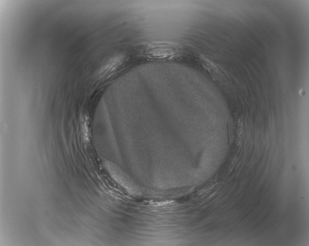 X0000078831394200612041801