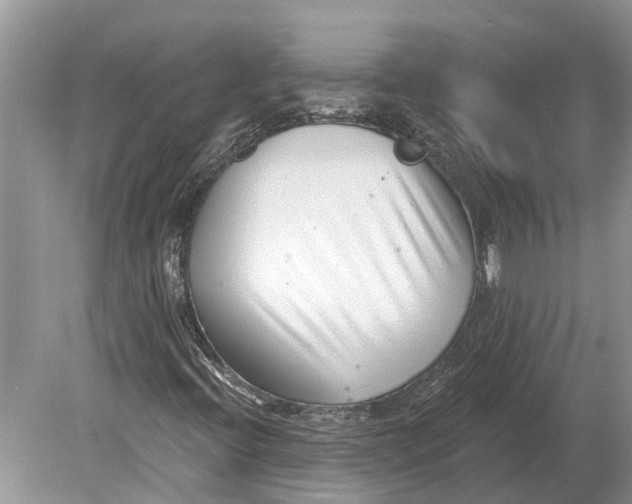 X0000078831396200612041801