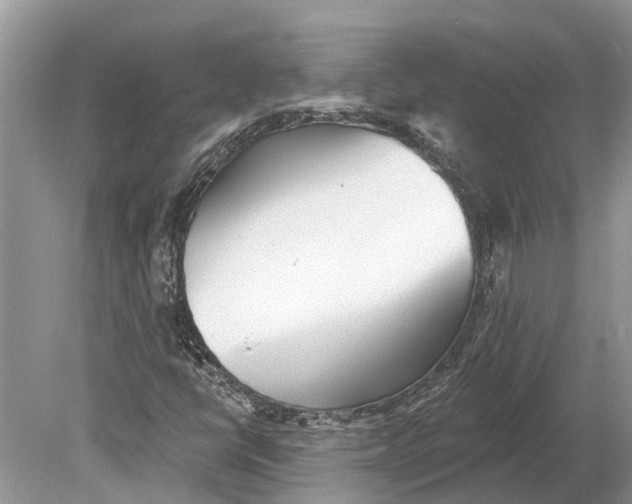 X0000078831398200612041801