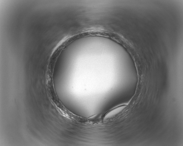 X0000078831400200612041801