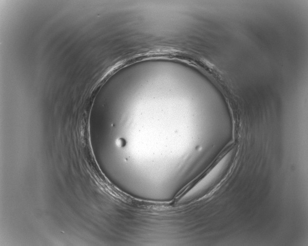 X0000078831401200612041801