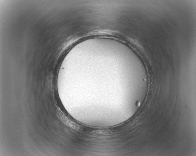 X0000078831404200612041801