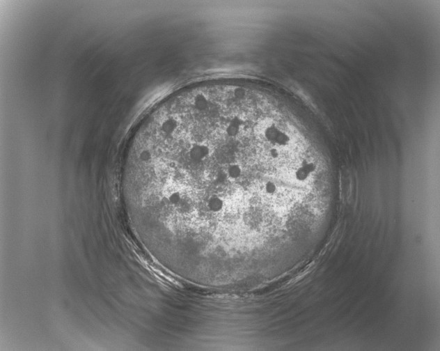 X0000078831405200612041801