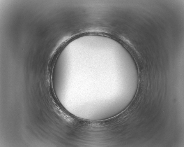 X0000078831408200612041801