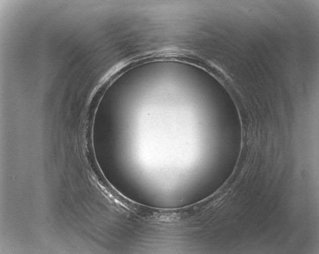 X0000078831410200612041801