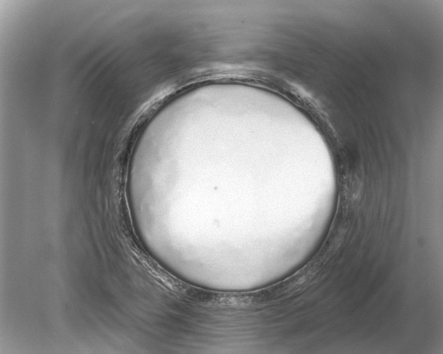 X0000078831411200612041801