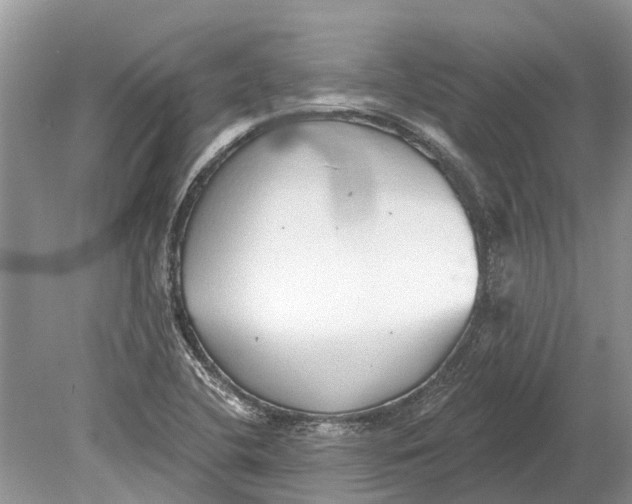 X0000078831412200612041801