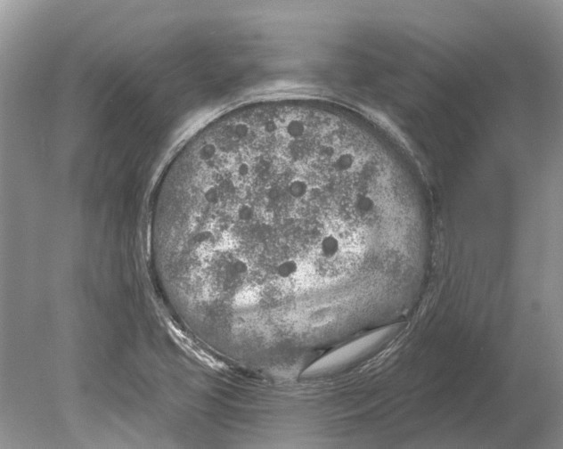 X0000078831413200612041801