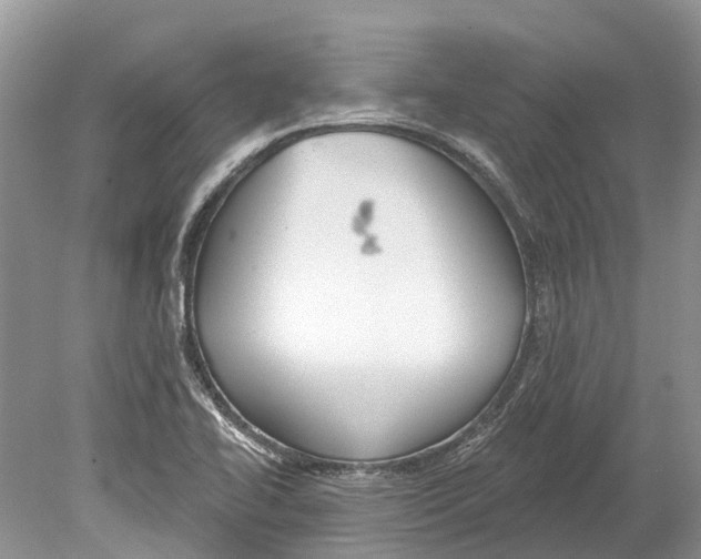 X0000078831414200612041801