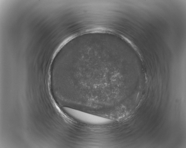 X0000078831418200612041801