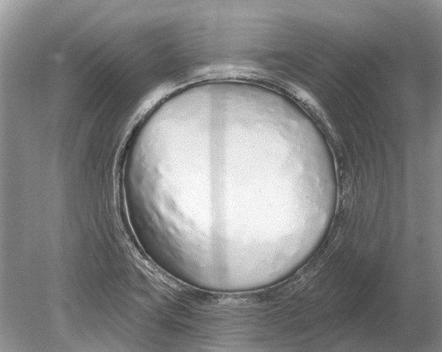 X0000078831419200612041801