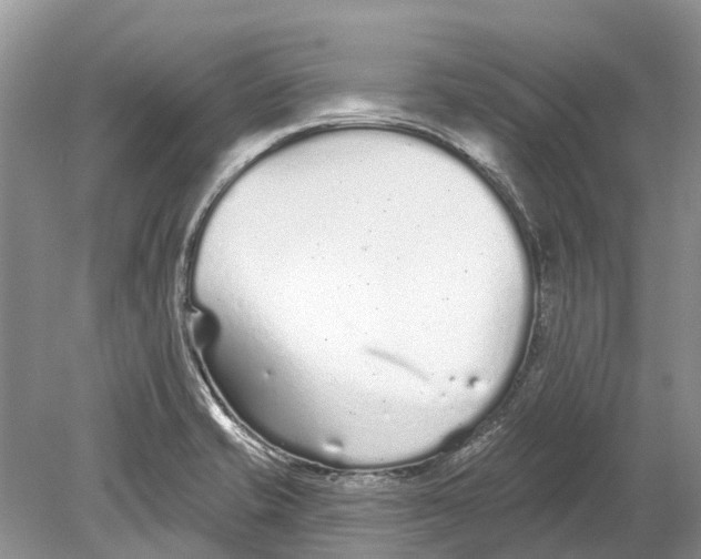 X0000078831421200612041801