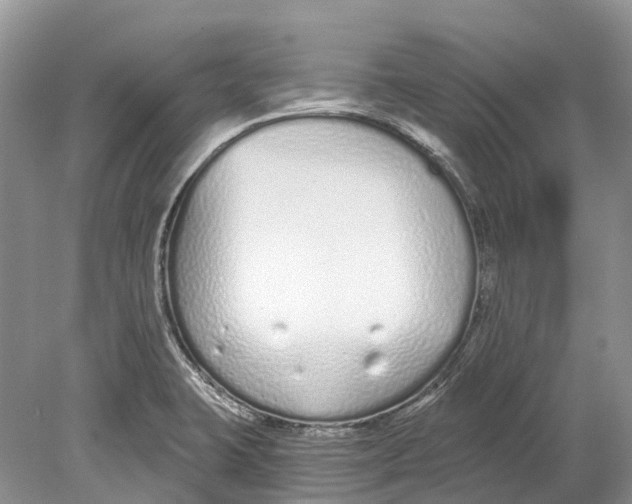 X0000078831423200612041801