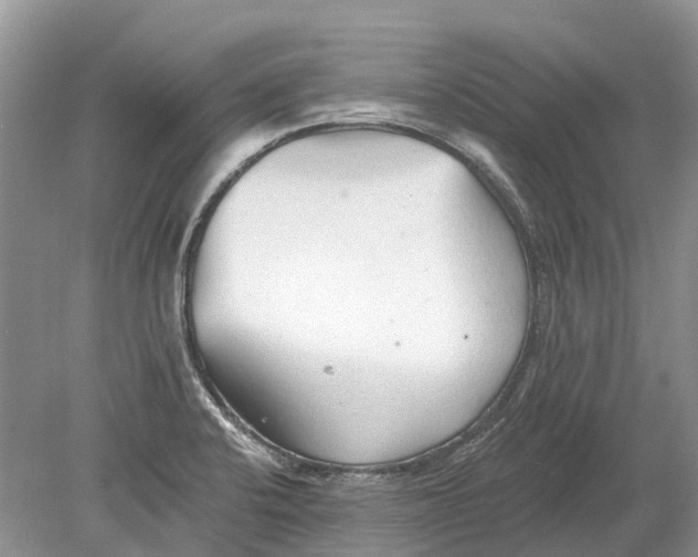 X0000078831424200612041801