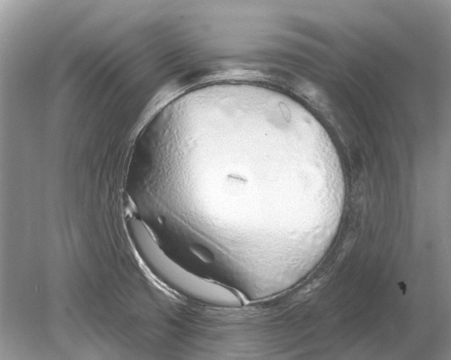 X0000078831425200612041801