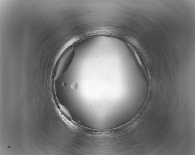 X0000078831426200612041801