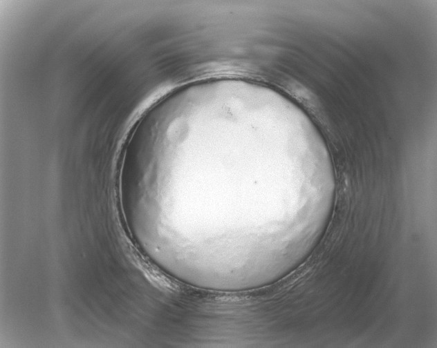 X0000078831427200612041801