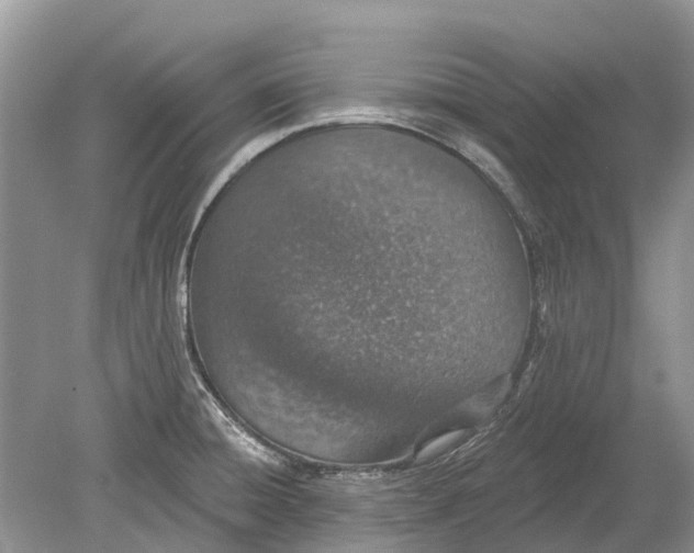 X0000078831428200612041801