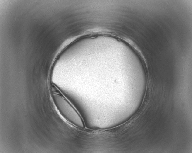 X0000078831429200612041801