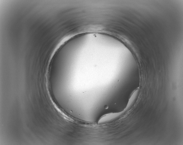 X0000078831432200612041801