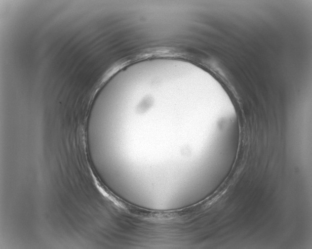 X0000078831433200612041801