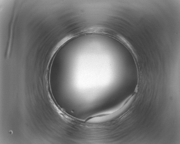 X0000078831434200612041801