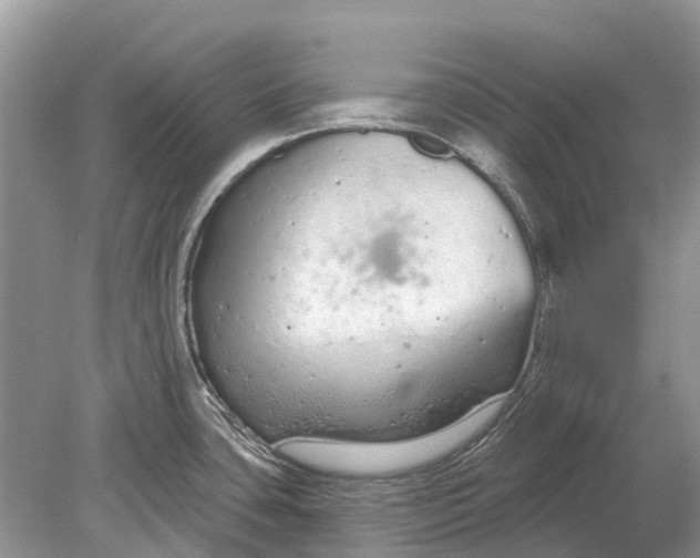 X0000078831435200612041801