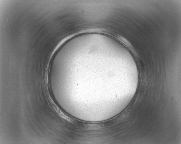 X0000078831436200612041801