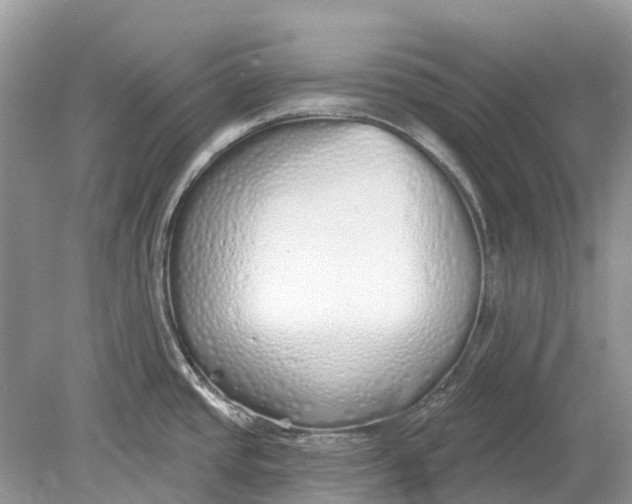 X0000078831437200612041801