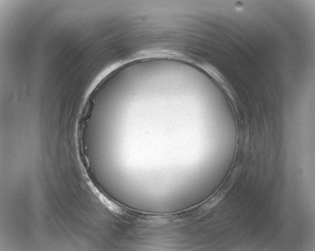 X0000078831438200612041802