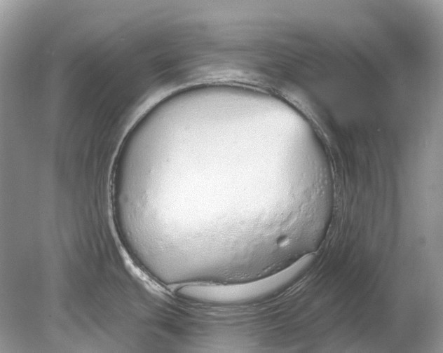 X0000078831439200612041802