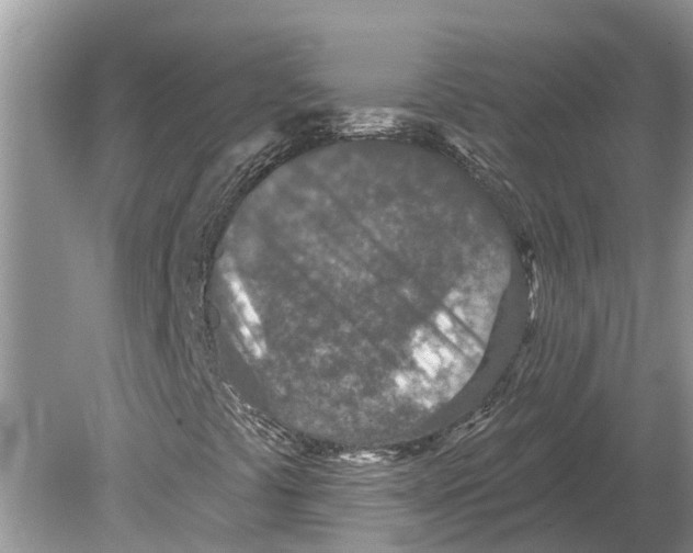 X0000078831441200612041801