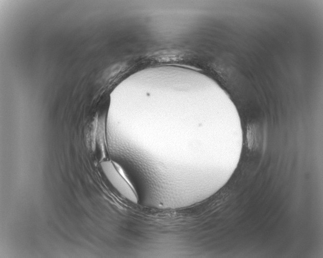 X0000078831444200612041801