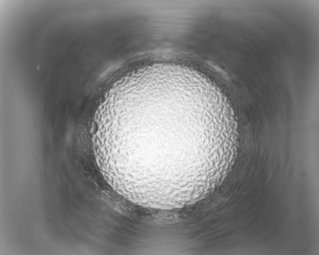 X0000078831446200612041801