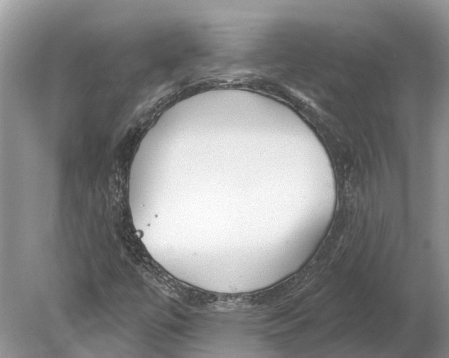 X0000078831447200612041801