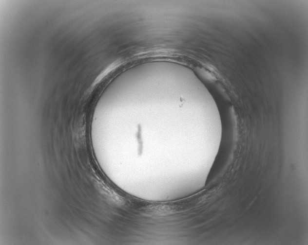 X0000078831450200612041801