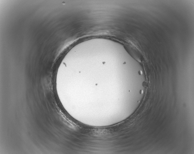 X0000078831452200612041801