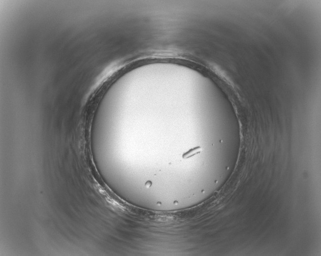 X0000078831456200612041800