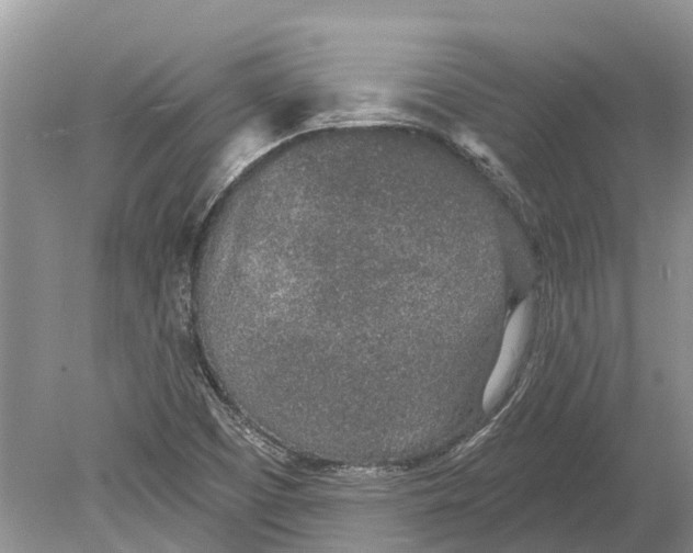 X0000078831457200612041800