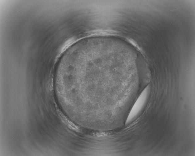 X0000078831459200612041800