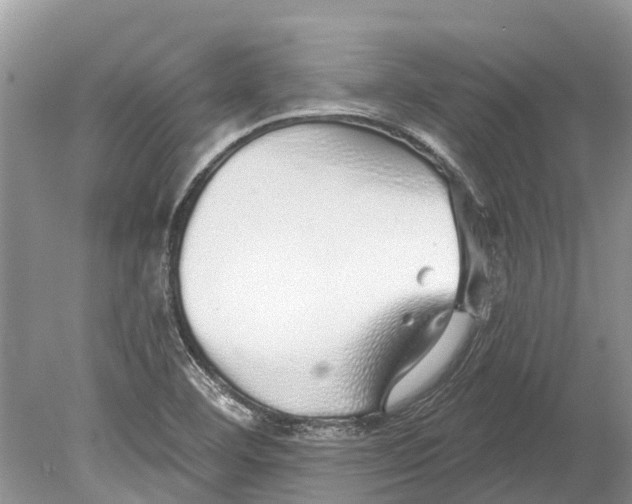 X0000078831460200612041800