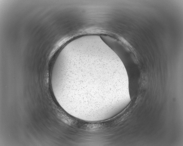 X0000078831461200612041800